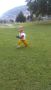 IMG-20170908-WA0054