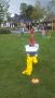 IMG-20170908-WA0056