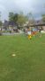 IMG-20170908-WA0062