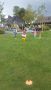IMG-20170908-WA0071