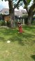 IMG-20170908-WA0072