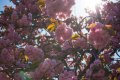 IMG_0840-LR