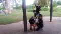 IMG-20170908-WA0047